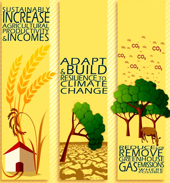 Department of Climate Smart Agriculture